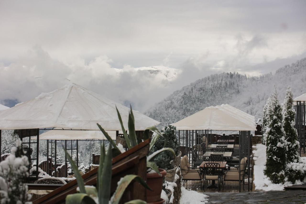 Alpine Castle Hotel Dilijan Exterior photo